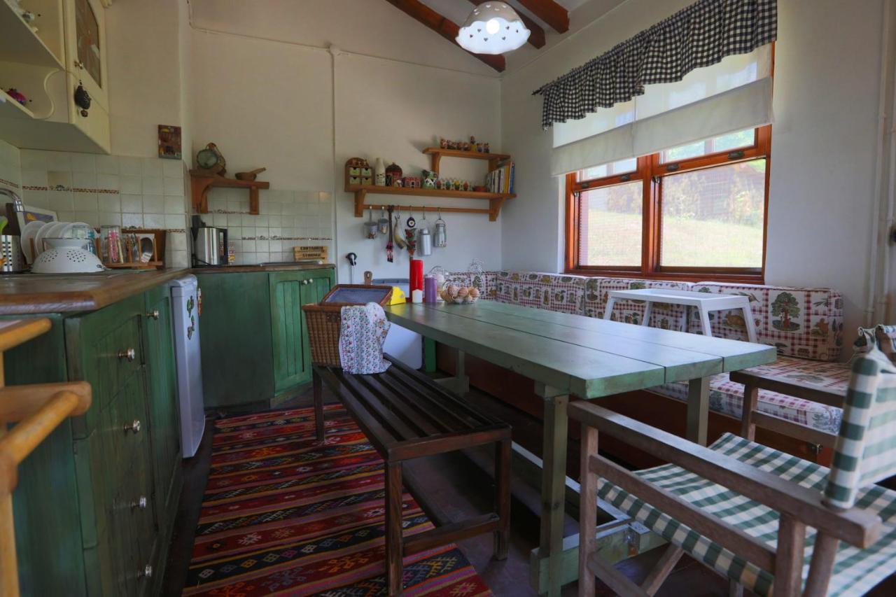 Cozy Mountain House Surrounded By Nature In Beykoz